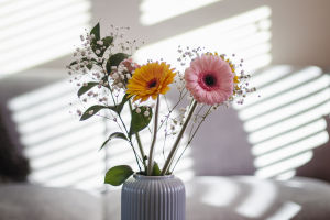 Flowers and Wellness