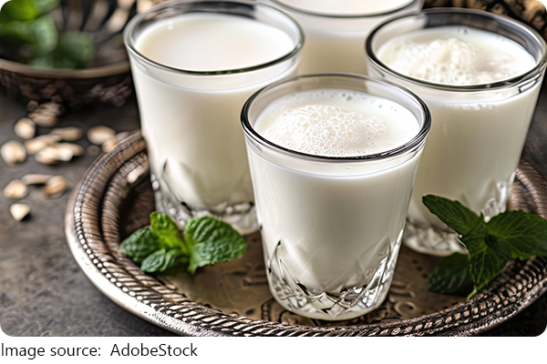 Hagyományos Ayran ital