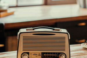 Timeless Voices