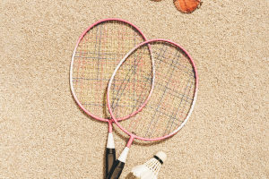 Flight of the Badminton