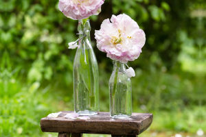Bloom with Bottles