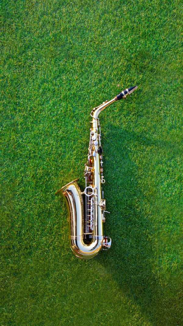 Saxophone Sensations