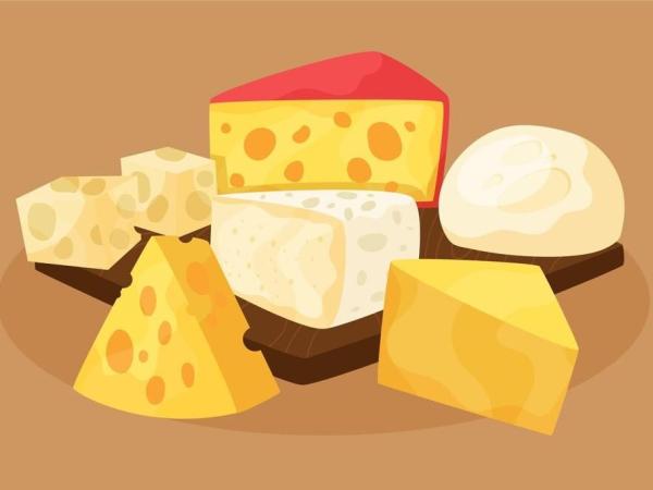 Ilustrasi Cheese