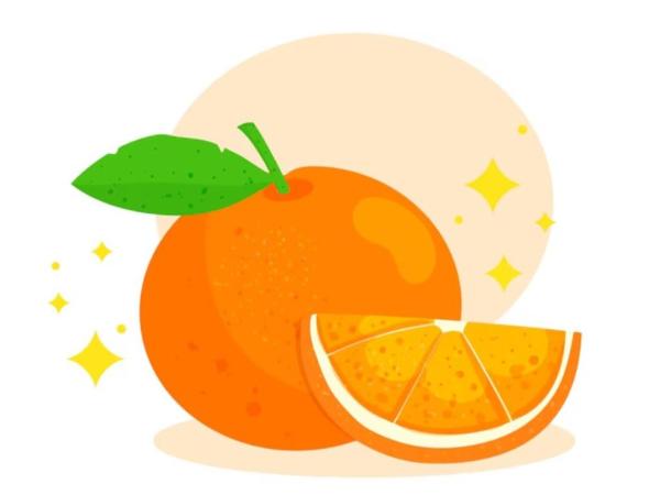 Ilustrasi Orange Fruit