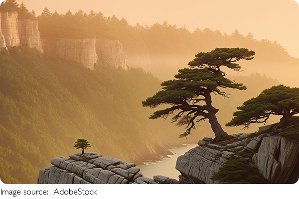 Roots Thriving in Rocks