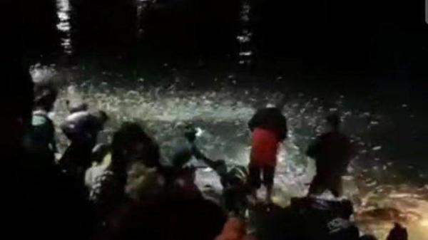 Fenomena ikan laut banyak melompat ke daratan