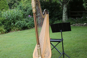Harp: Elegant and Timeless