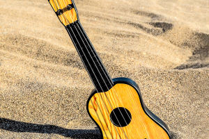 Strum Your Way