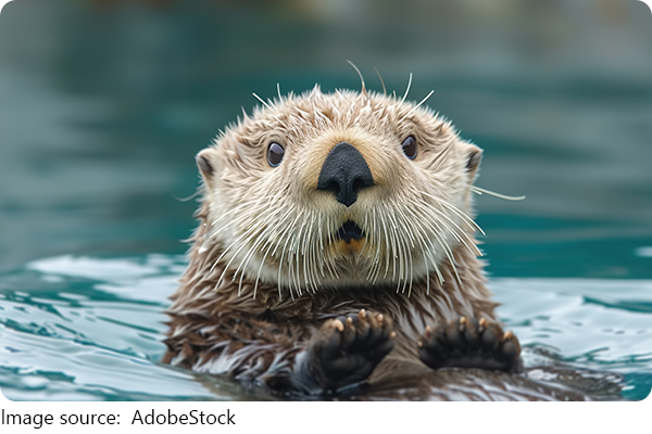 Jejak Otter di Indonesia