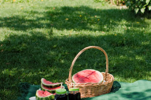 Planning the Perfect Picnic