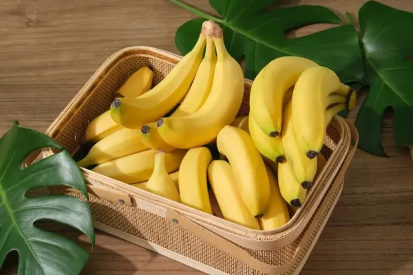 Pisang cavendish