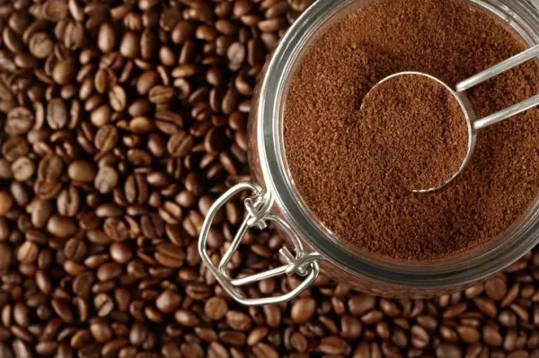 lebih baik biji kopi atau kopi bubuk