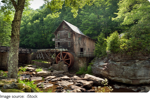 Леса под защитой