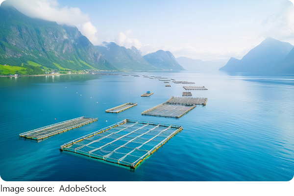 Küstenzauber Kristiansand