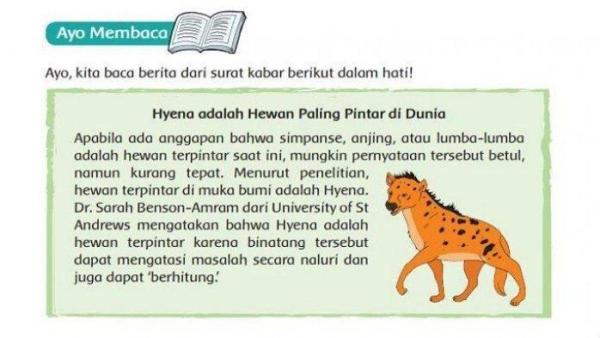Simak kunci jawaban Tema 2 kelas 6, tentang cara Hyena mempertahankan diri.