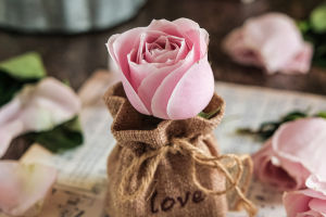 The Timeless Rose