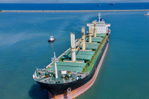 Global Trade Dynamics