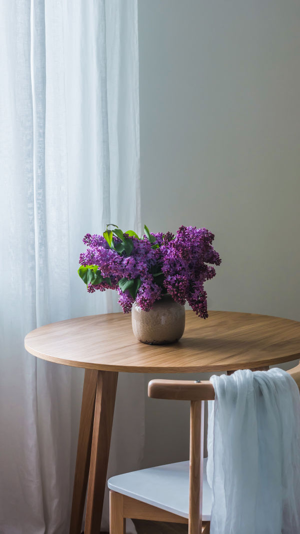Lilac Plant Overview