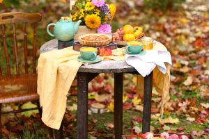 Perfect Picnic Planner