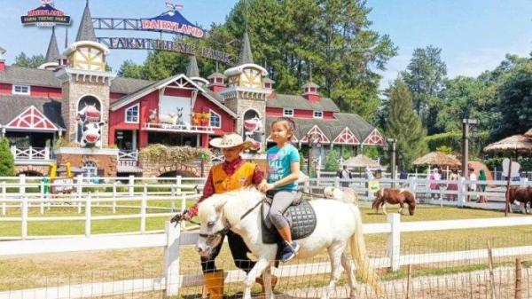 Di tempat wisata Dairyland Farm Theme Park Puncak Bogor ini, kamu bisa berkuda mengelilingi area berkuda dengan aman karena ditemani oleh petugas.