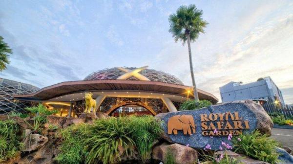 Tanpa harus menginap, di tempat wisata Royal Safari Garden Puncak Bogor, kamu bisa melihat koleksi satwa dan berinteraksi dengan mereka.