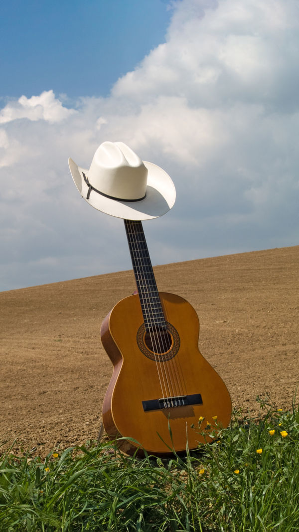 Anatomy of a Great Guitar