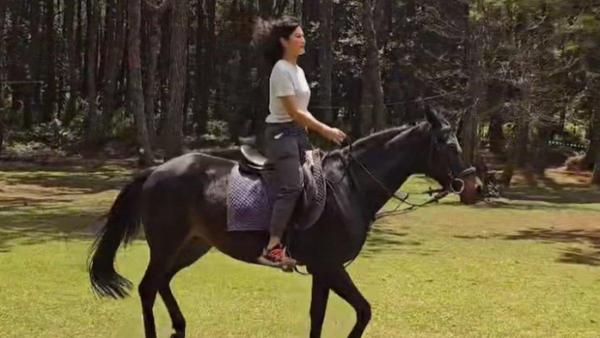 Dian Sastrowardoyo dipuji karena multitalenta