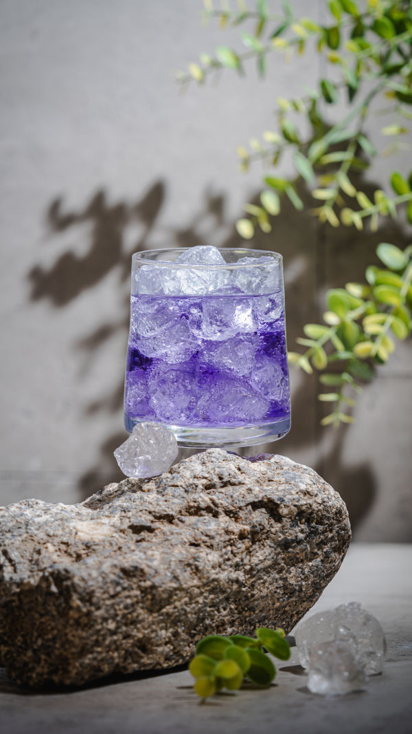 Blueberry: Summer Best Drink