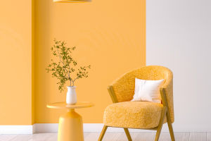 Minimalism Living Room