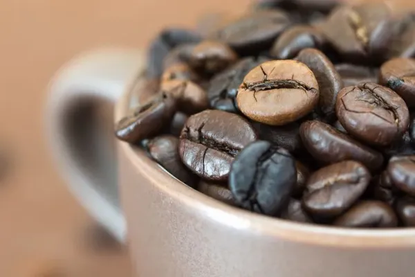5 Fakta Kopi Excelsa yang Underrated Tetapi Rasanya Istimewa