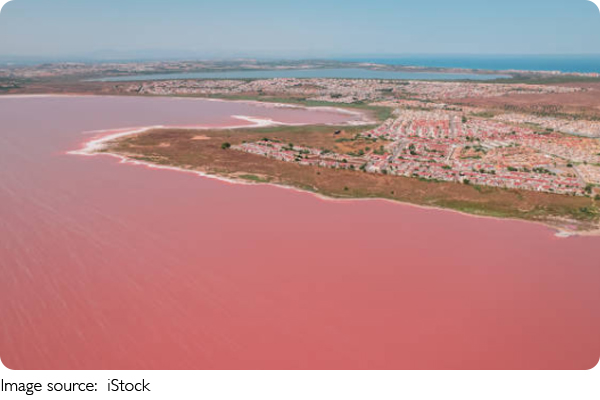 Liburan Seru di Torrevieja