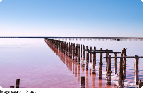 Liburan Seru di Torrevieja