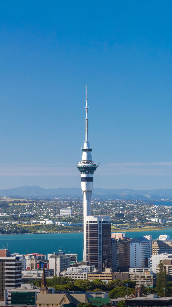 Auckland City from Mt. Eden