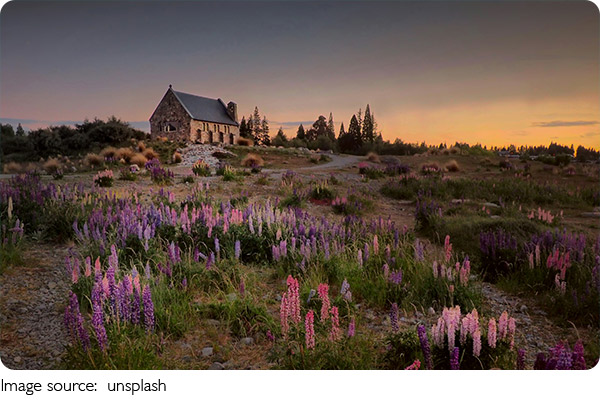 Hobbiton's Hidden Wonders