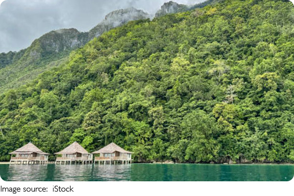 Bali Luxe Escapes