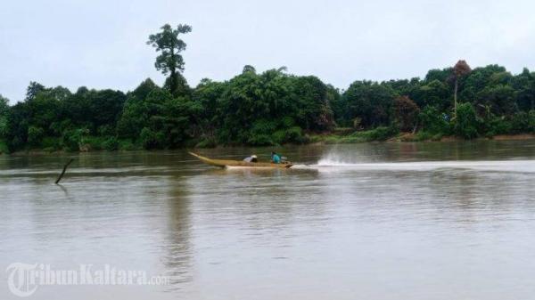 Hutan dan Lingkungan Hidup di Malinau 120924_1