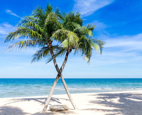 Pantai Ujung Genteng Sukabumi, Foto Hanya Ilustrasi, Bukan Gambar Sebenarnya, Sumber Foto: Pixabay/Sasint