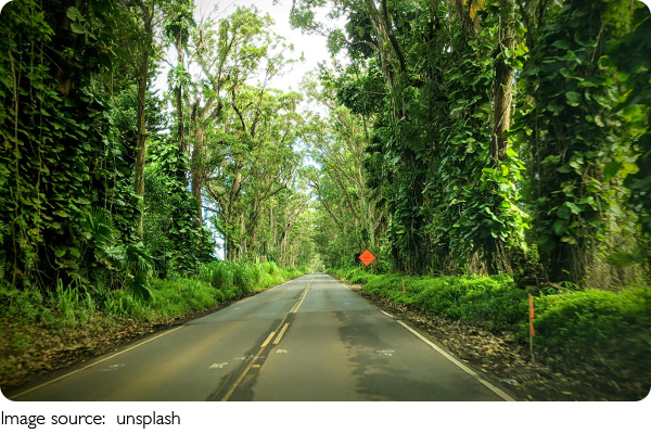 Descubre Hawai