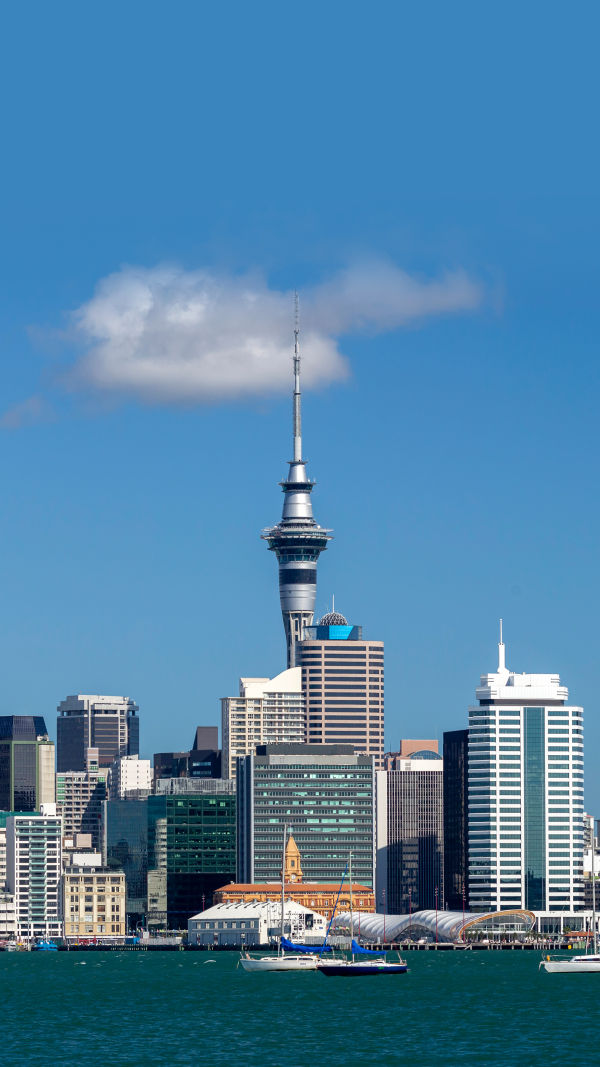 Auckland Awaits You!