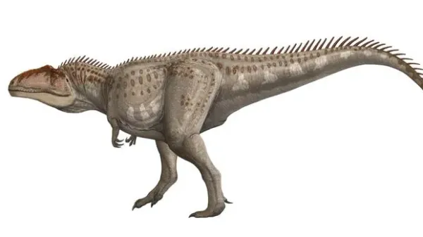 Giganotosaurus