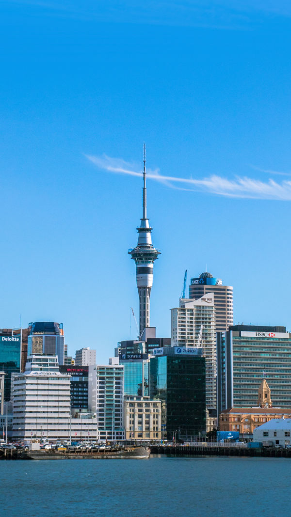 Auckland Adventure Awaits
