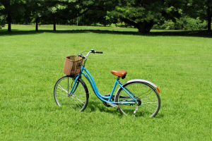 Cycling in the Park