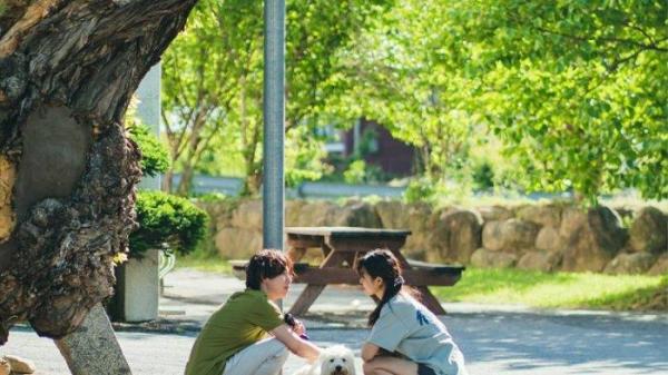 Drama Korea Summer Strike 01