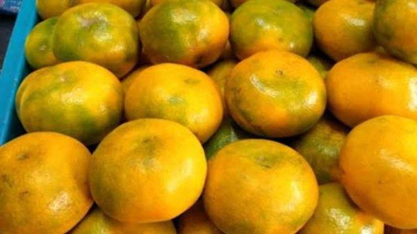 Buah jeruk bisa bantu mengatasi jerawat.