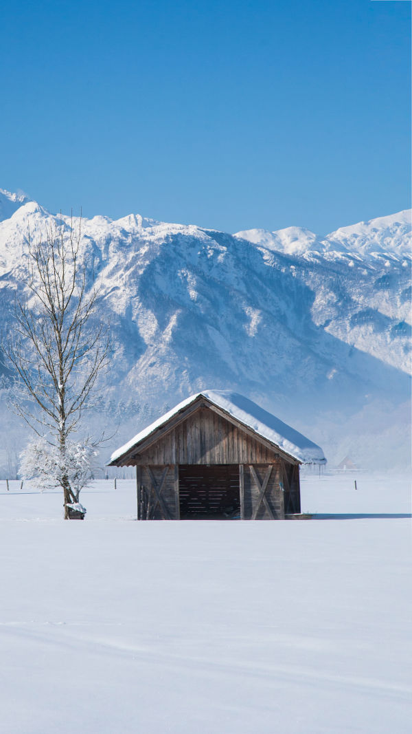 Bohinj's Alpine Escape