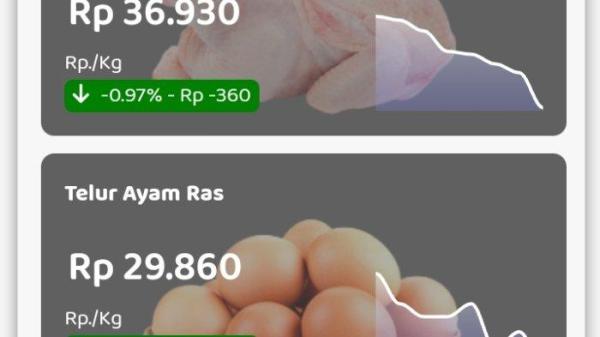 Harga Telur Ayam Ras Hari Ini