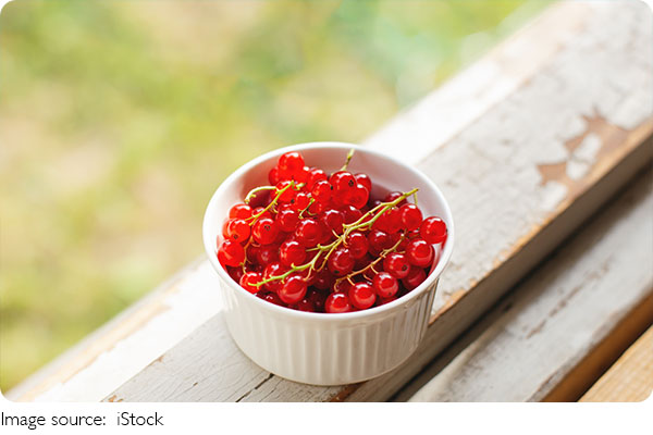 Johannisbeeren erklärt