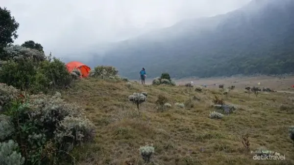 Kabut tipis masih menghiasi Surken udara terasa dingin