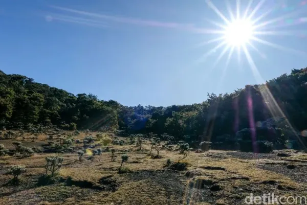 Lembah Mandalawangi seolah menyihir pendaki akan keindahan lanskapnya. Mandalawangi menjadi spot favorit Soe Hok Gie semasa hidupnya.