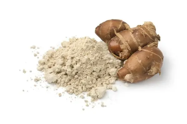 Fresh aromatic kencur rhizomes